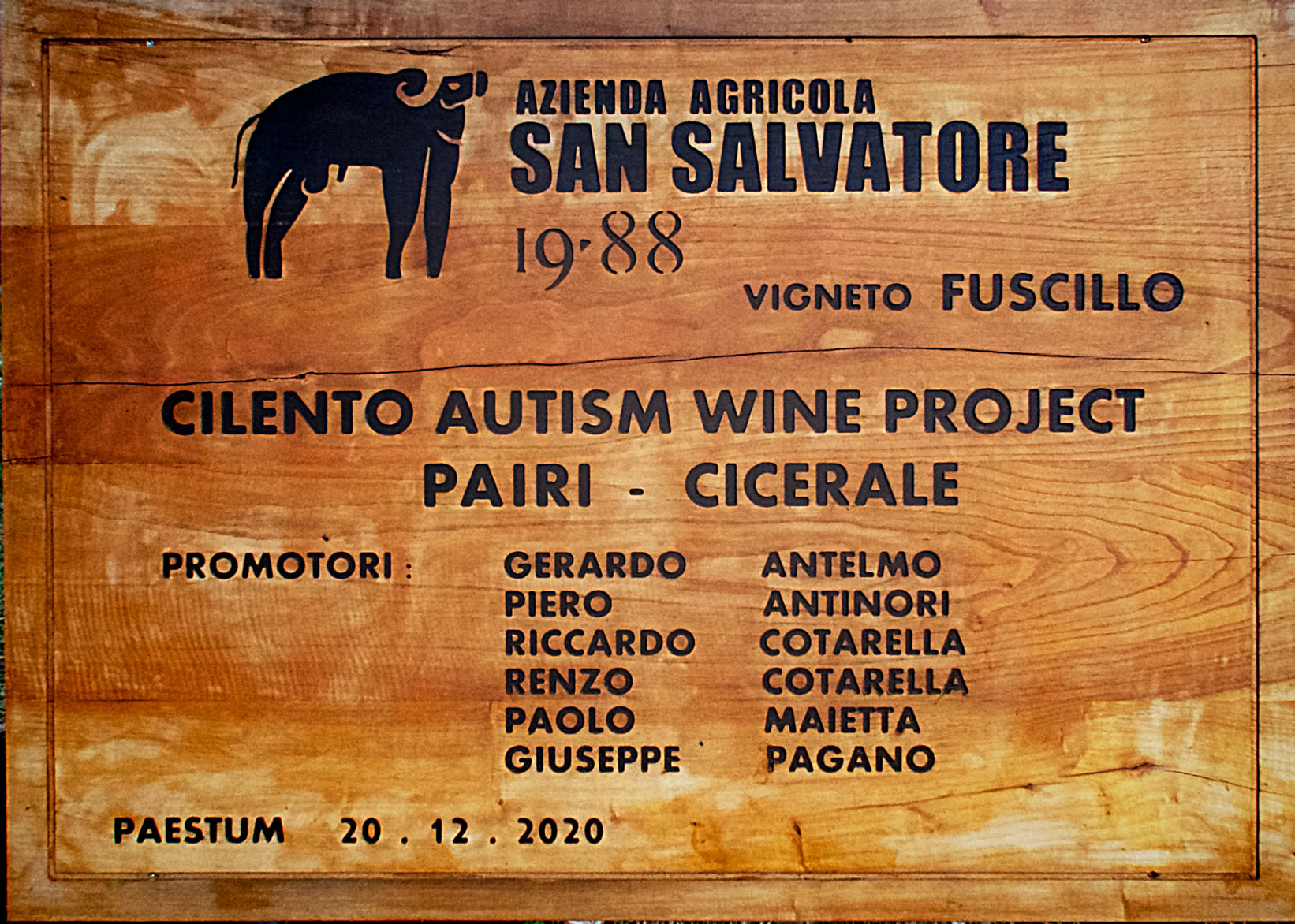 Azienda Agricola San Salvatore 